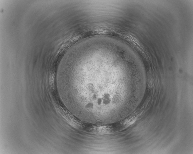 X0000059060365200510171945