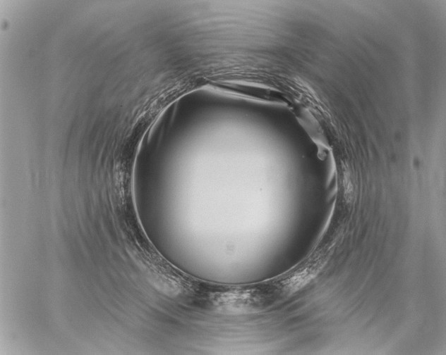 X0000059060366200510171945