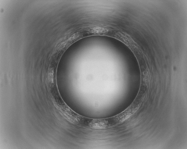 X0000059060368200510171945