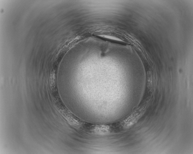 X0000059060369200510171945