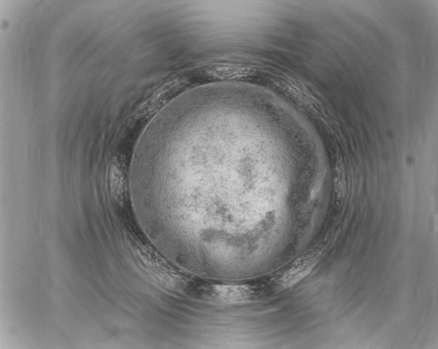 X0000059060371200510171945