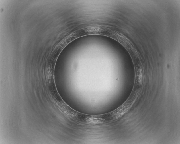 X0000059060372200510171945