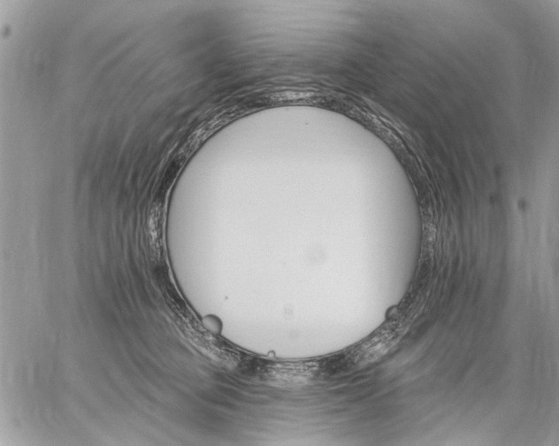 X0000059060373200510171945