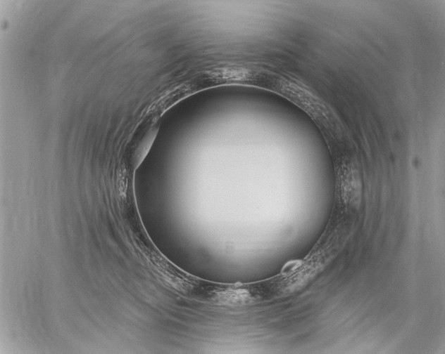 X0000059060374200510171945