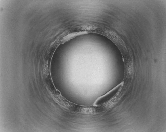 X0000059060376200510171945