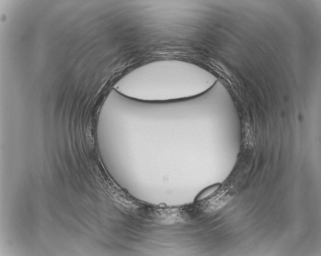 X0000059060377200510171945