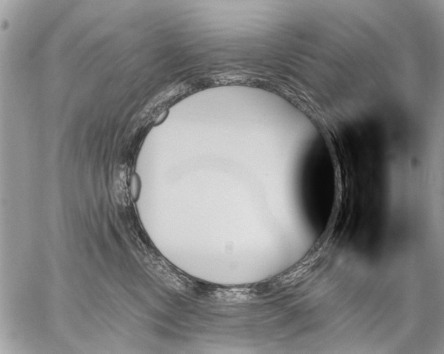 X0000059060378200510171945