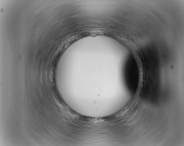 X0000059060379200510171945