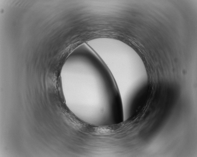 X0000059060380200510171945