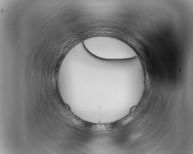 X0000059060381200510171945