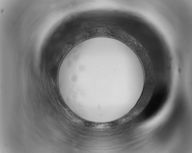 X0000059060382200510171945