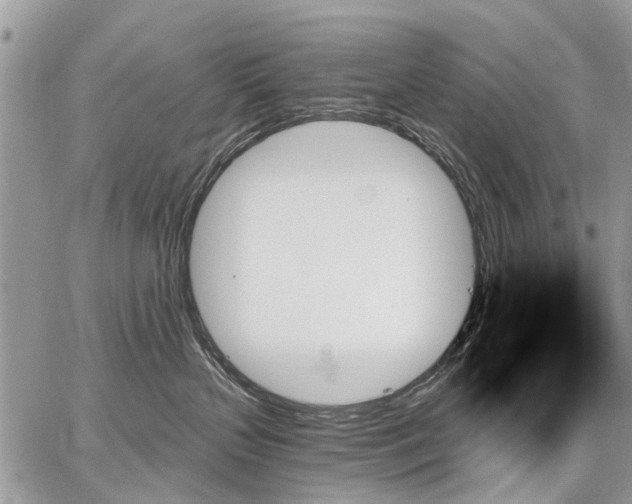 X0000059060383200510171945