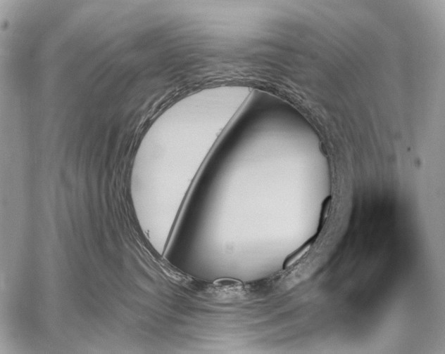 X0000059060384200510171945