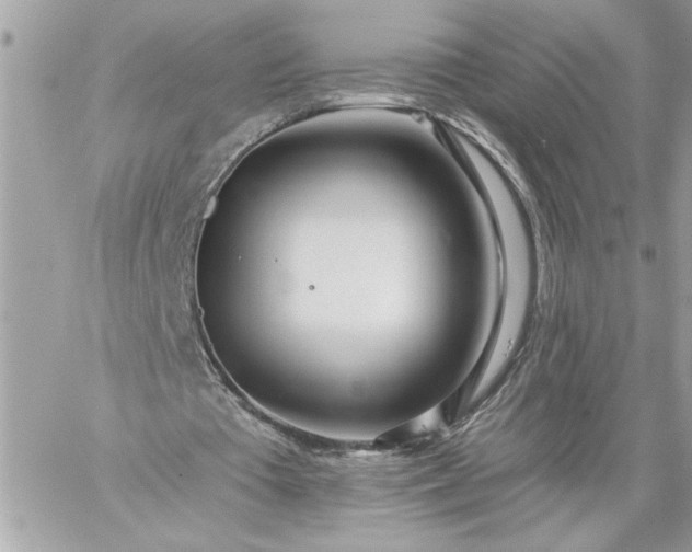 X0000059060385200510171945