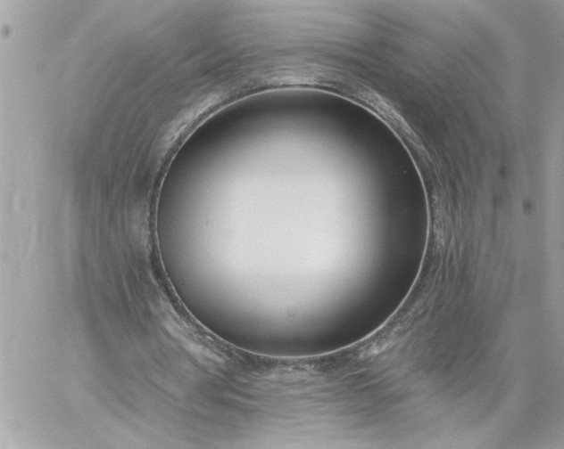 X0000059060386200510171945