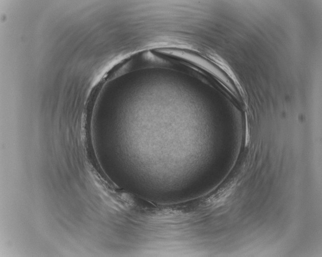 X0000059060387200510171945