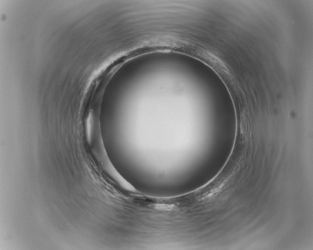 X0000059060388200510171945