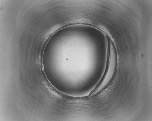 X0000059060389200510171945