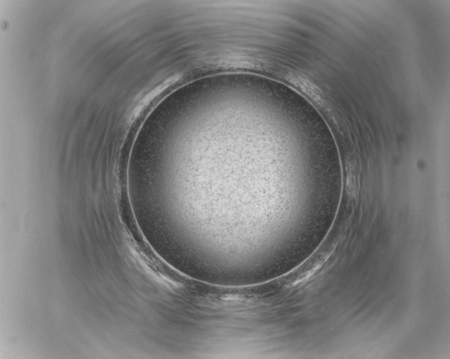 X0000059060390200510171945