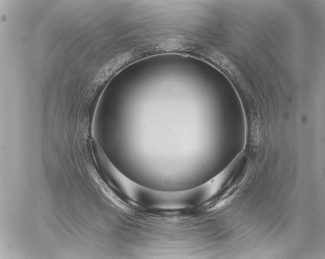 X0000059060393200510171945