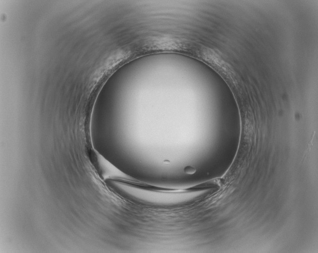 X0000059060394200510171944