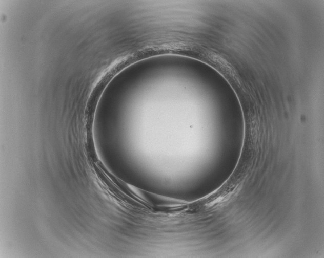 X0000059060395200510171944