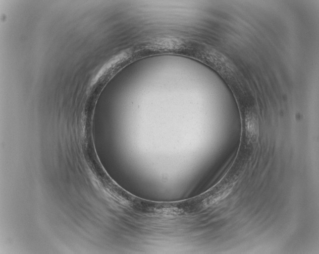 X0000059060396200510171944