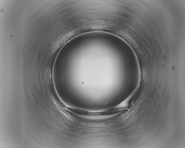 X0000059060397200510171944