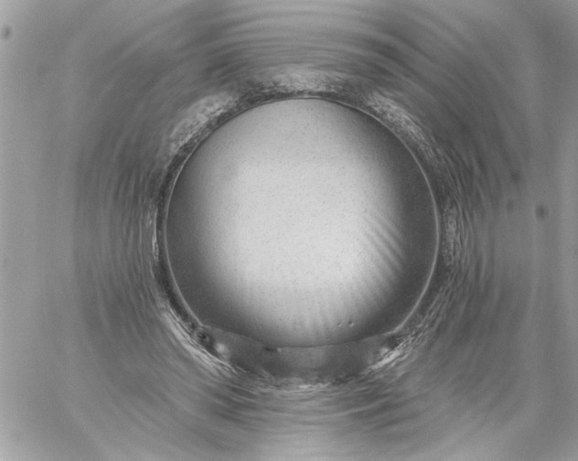 X0000059060398200510171944