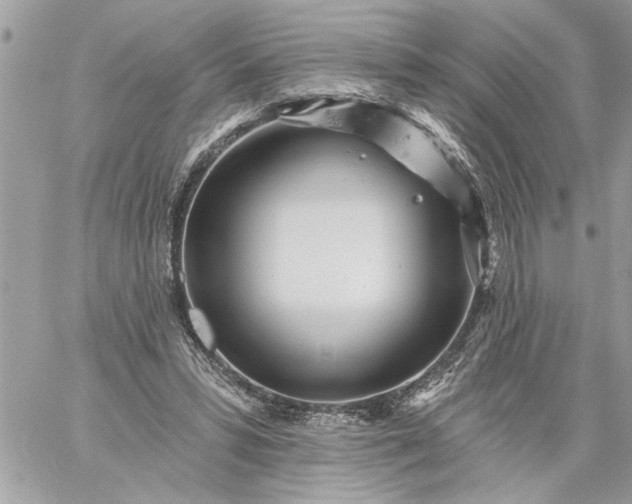 X0000059060399200510171944