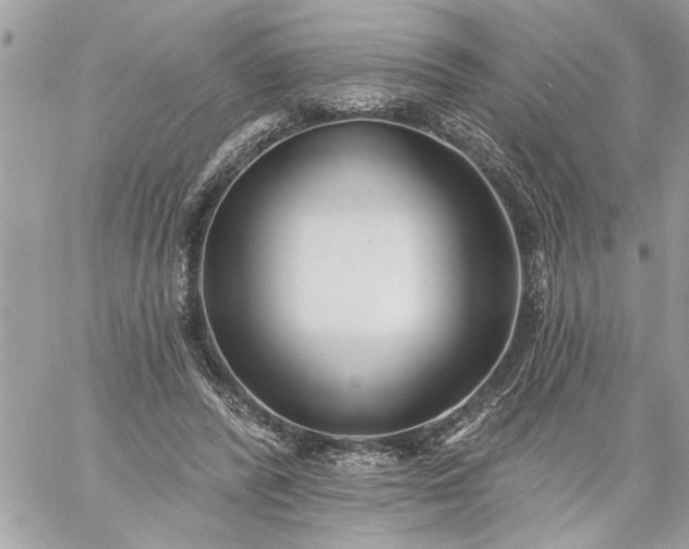 X0000059060400200510171944