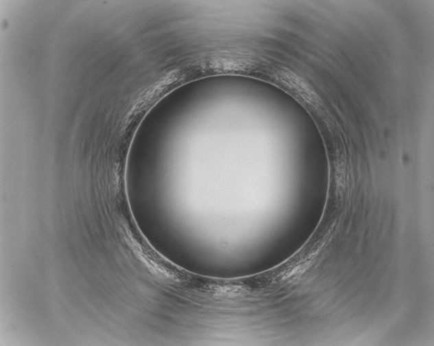 X0000059060401200510171944