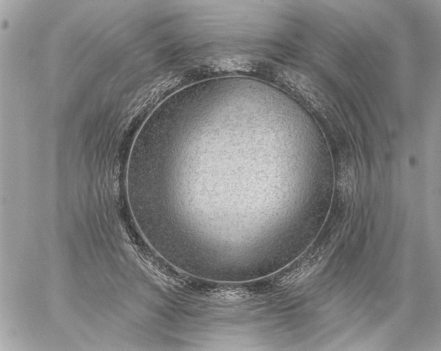 X0000059060402200510171944