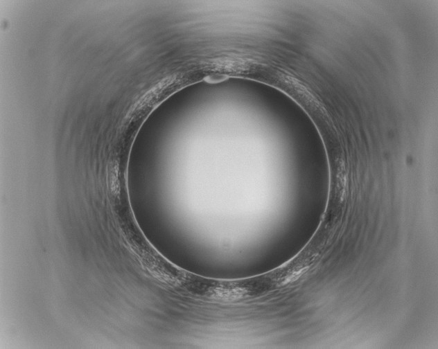 X0000059060403200510171944