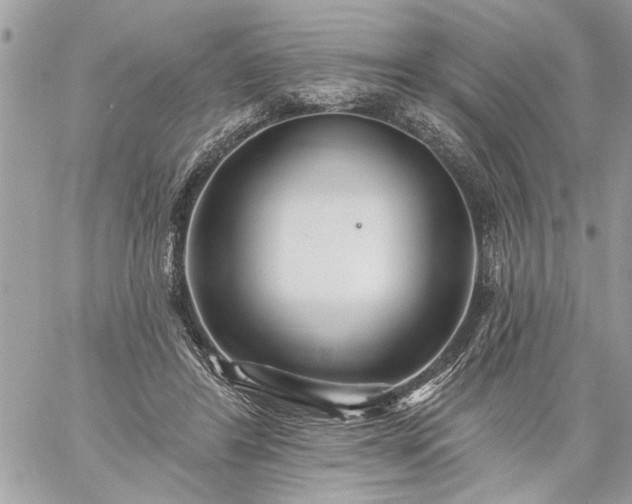 X0000059060404200510171944