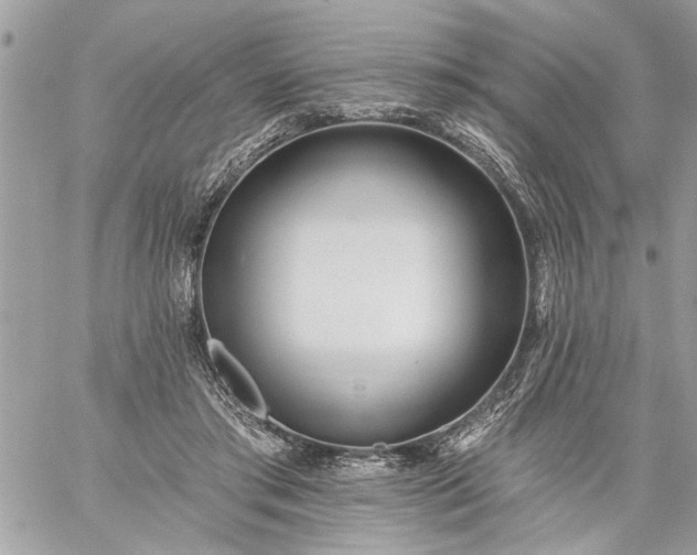 X0000059060405200510171944