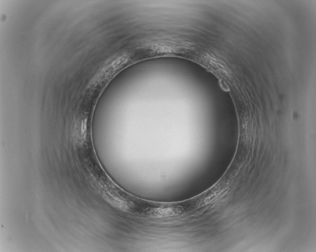 X0000059060406200510171944