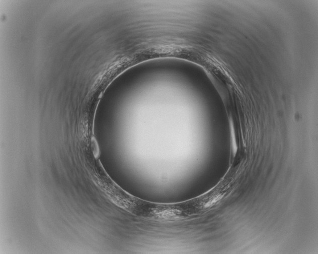 X0000059060407200510171944