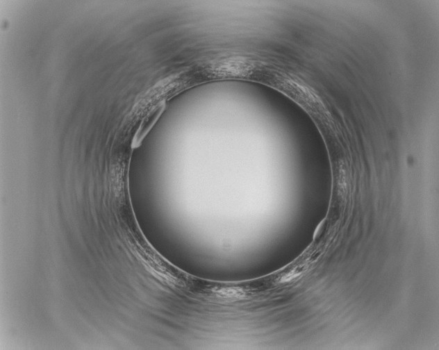 X0000059060409200510171944