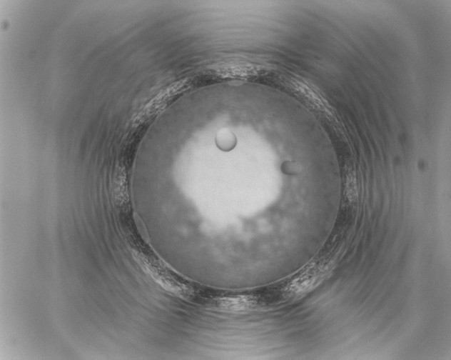 X0000059060411200510171944