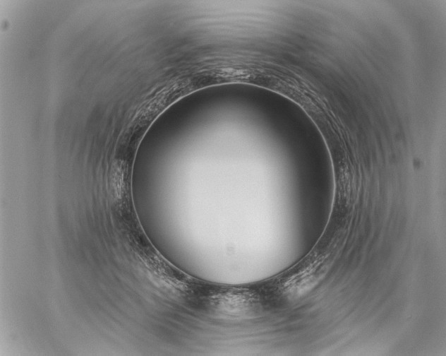 X0000059060412200510171944