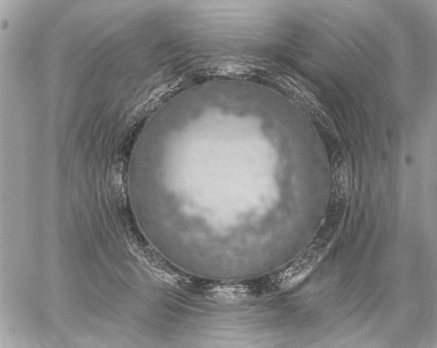 X0000059060415200510171944