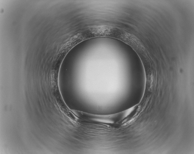 X0000059060416200510171944