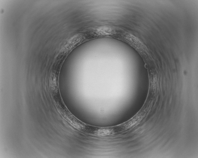 X0000059060418200510171944