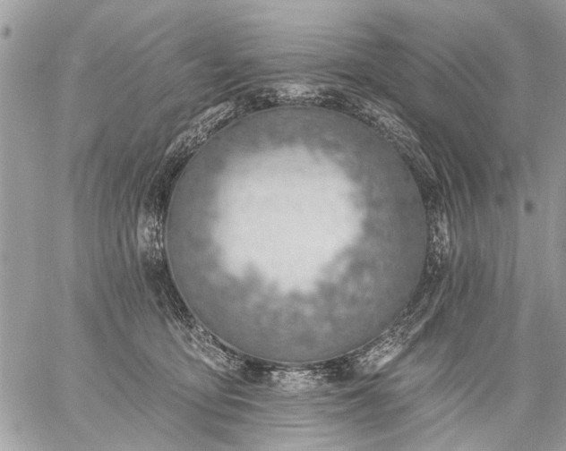 X0000059060419200510171944