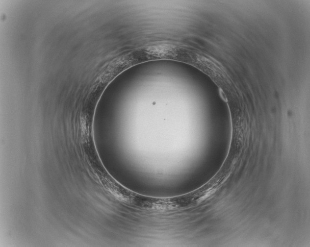 X0000059060420200510171944