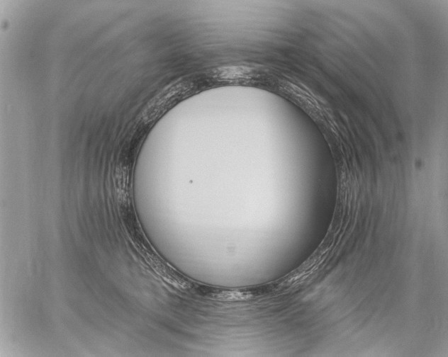 X0000059060421200510171944