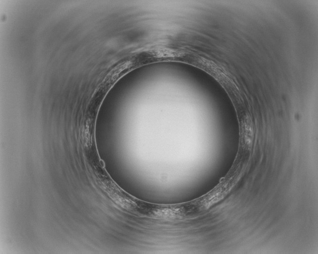 X0000059060422200510171944