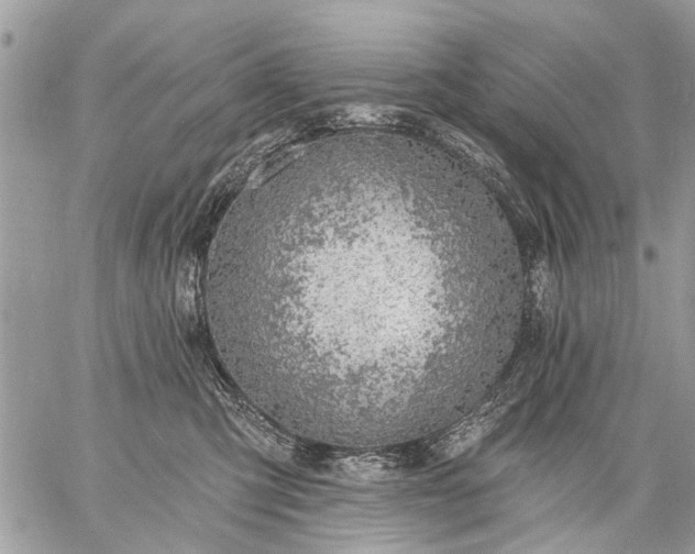 X0000059060423200510171944