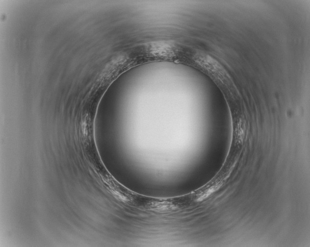 X0000059060424200510171944